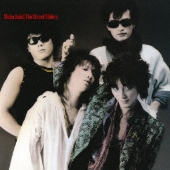 The Street Sliders｜ライブBlu-ray+CD『The Street Sliders 40th 
