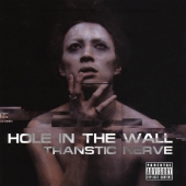 HOLE IN THE WALL