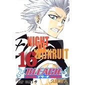 BLEACH -ブリーチ- 16