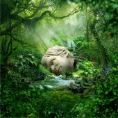 シーズンズ:スプリング