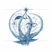 バッカルコーン