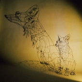 一生モノの陽射し