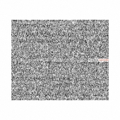 中古 Cyclo. Ryoji Ikeda + Carsten Nicolai 池田亮司 (Ryoji Ikeda) とカールステン・ニコライ (Carsten Nicolai