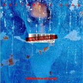 バタフライ・ヘッド