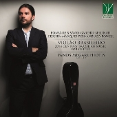 ブラジルのギター～20世紀ブラジルのギター作品集