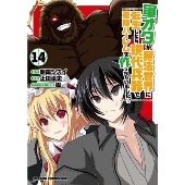 軍オタが魔法世界に転生したら、現代兵器で軍隊ハーレムを作っちゃいました!? 14 (14)