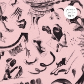 間違いの実/The Fruit Of Errata＜限定盤＞