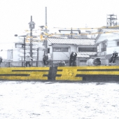 ユー・バーク・ウィ・バイト＜通常盤＞