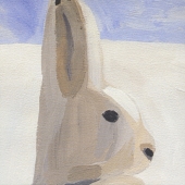 Polaris＜限定盤＞