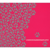 ルミナスオレンジシュガープラスティック