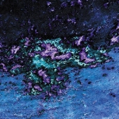 HONNOMAJIKA～NAHARU × KEIJI HAINO