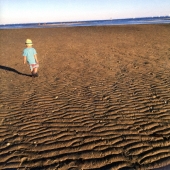 流動体について＜完全生産限定盤＞