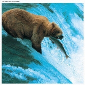 ゴトーチバンドアーカイブ　ａｒｅａ２　ツツウラウラ