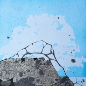 brrwd love volume one