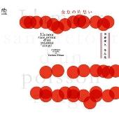 金魚の片思い～当摩泰久 作品集～