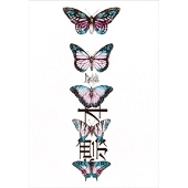 標本 [CD+DVD]＜TYPE-A＞