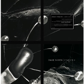 Camphor II＜Colored Vinyl＞