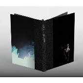 TOOL /FEAR INOCULUM 超限定5枚組LP未開封激レア最終値下げ TOOL Fear Inoculum 初回生産限定盤 HDスクリーン付 - メルカリ