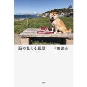 海の見える風景