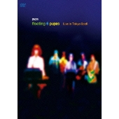 絶版 初版本 山本精一 イマユラ ボアダムス ele-king books Amazon.co.jp: イマユラ (ele-king books) : 山本精一: 本