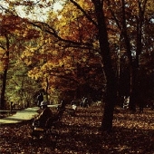 Days Lead＜完全限定生産盤＞