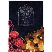 植田真梨恵 LIVE TOUR 2017 [ロンリーナイト マジックスペル] [2DVD+ブックレット]