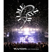 WANDS ライブBlu-ray『WANDS Live Tour 2025 ～TIME STEW～』2025年11