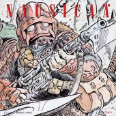 「風の谷のナウシカ」イメージアルバム 鳥の人…