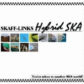 Hybrid SKA