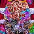 Bewitching Circus With Dream