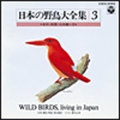 日本の野鳥大全集-3