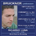 Bruckner Unknown