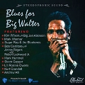Blues For Big Walter