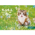 もふもふこねこ インプレスカレンダー2024