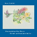 Hummingbird and Four Flowers --Turntable and Harmonium Solo Live--