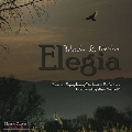 Elegia - Music by Roberto di Marino
