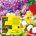 BEST OF ELECTRO STEP