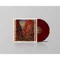 Without Star or Compass<数量限定盤/Burgundy Color Vinyl>