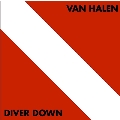 Diver Down