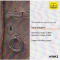 Schubert: Piano Sonatas No.18 D.894, No.20 D.959