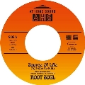 Source Of Life (DJ KOCO Re Edit)/Solar Strut<完全限定盤>