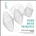 Third Noise Principle - Formative North American Electronica 1975-1984