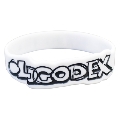 OLDCODEX OFFICIAL GOODS 2018 ラバーバンド