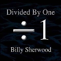 Divided by One