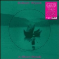 A Short Break<Picture Vinyl>