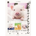 #大好きマイクロブタさん