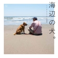 海辺の犬。