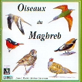 Oiseaux Du Maghreb
