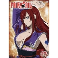 FAIRYTAIL フェアリーテイル 17