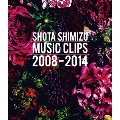 SHOTA SHIMIZU MUSIC CLIPS 2008-2014